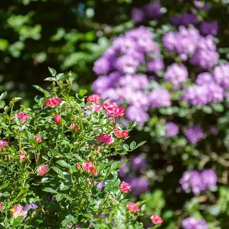 Heuerhaus 1898 Apartment Menslage
