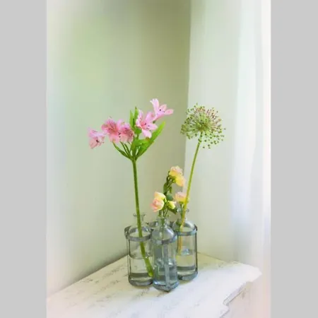 Heuerhaus 1898 Appartamento Menslage