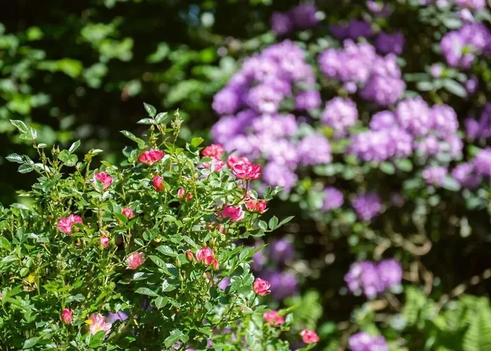 Heuerhaus 1898 Апартаменты Menslage