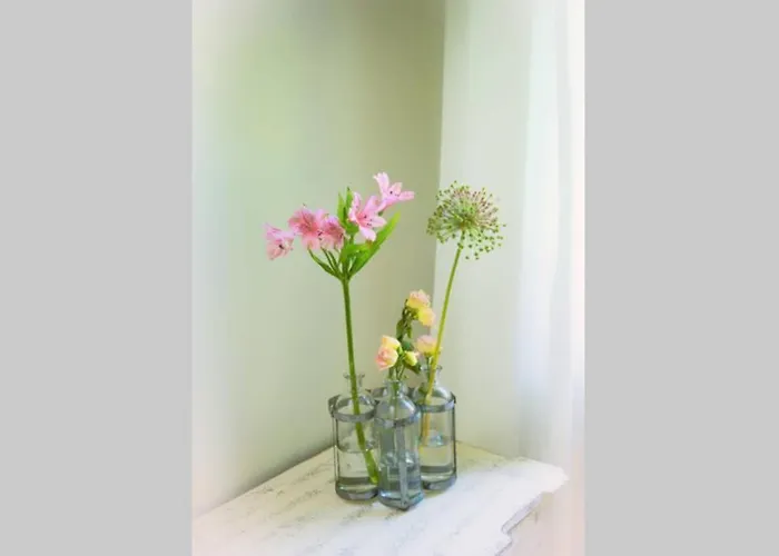 Heuerhaus 1898 Апартаменты Menslage